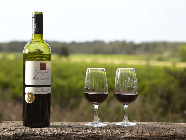 DOMAINE DE BANNIÈRES
