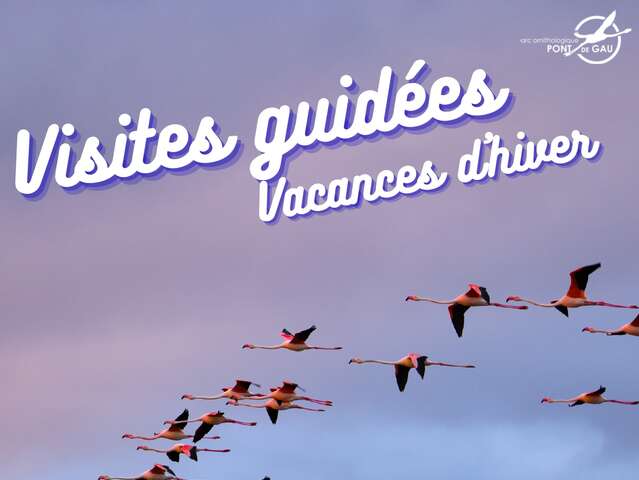 VISITES GUIDÉE VACANCES D'HIVER