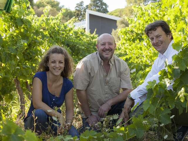 CHATEAU DE FLAUGERGUES / DOMAINE VITICOLE