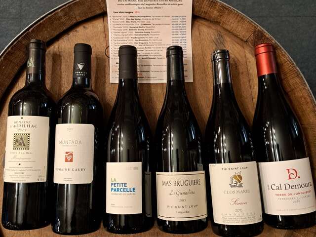 DÉGUSTATION DE LA 25ÈME FOIRE AUX VINS