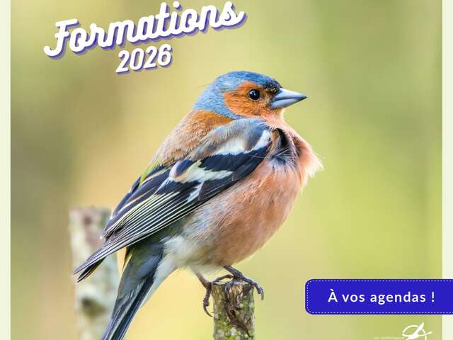 FORMATION OISEAUX DES JARDINS