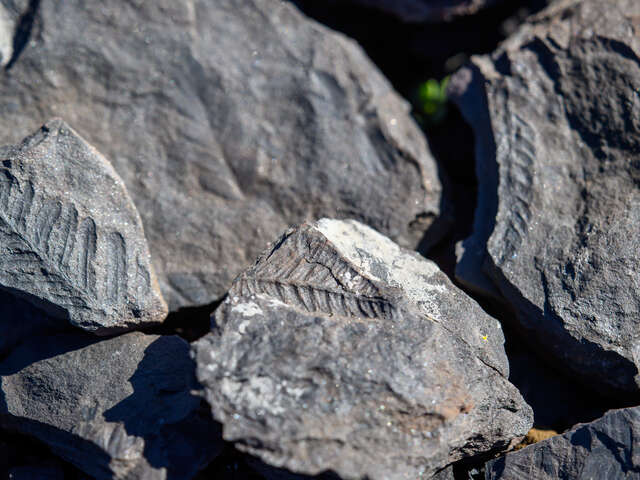 EXPOSITION : GÉOLOGIE ET PAYSAGES : DE LA PLANÈTE À L’HÉRAULT