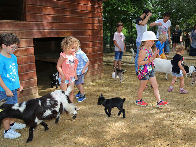 LES PETITS FERMIERS DE LANSARGUES