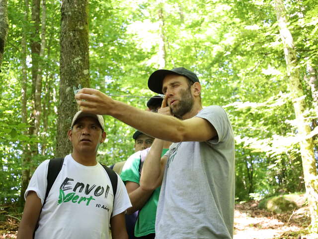 ENVOL VERT SENSIBILISATION A LA PROTECTION DES FORETS