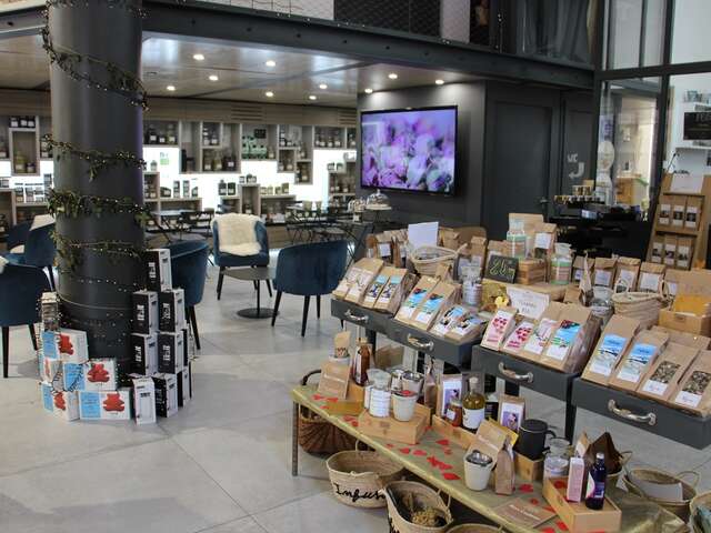 INFUSE HERBALIST- HERBAL TEA BAR