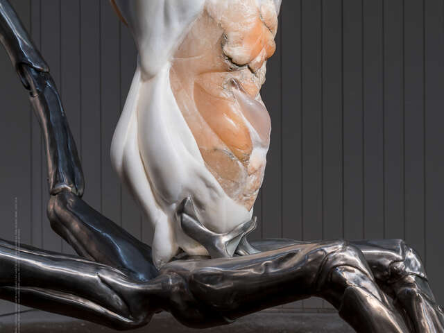 EXPOSITION METEMPSYCHOSIS, IVANA BAŠIĆ - MO.CO. PANACÉE