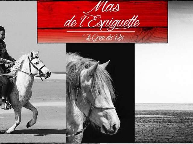 EARL MAS DE L'ESPIGUETTE