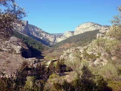 THE CIRQUE DE L'INFERNET