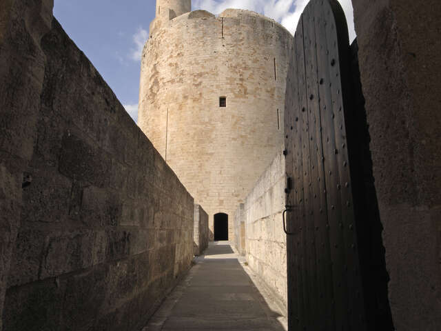 TOURS ET REMPARTS D'AIGUES MORTES