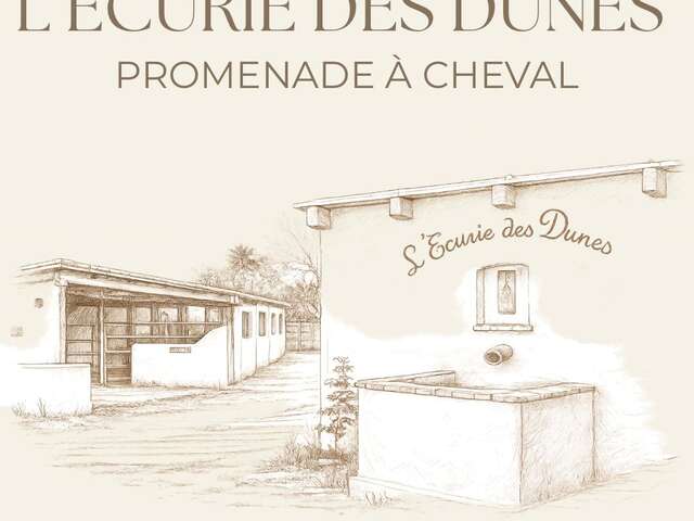 L'ECURIE DES DUNES