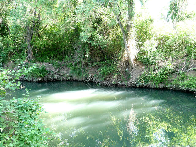BALADE NATURE POUR DÉCOUVRIR LE SALAISON AU CRÈS