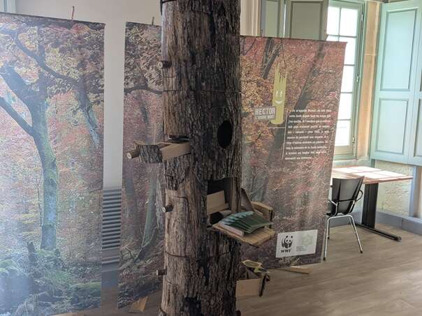 ATELIER / JEU : HECTOR UN ARBRE PLEIN DE VIE