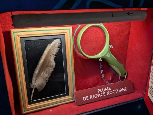 MEDIATION EXPO ENFANTS : LES MERCREDIS DE LA NUIT