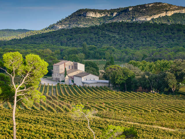 CHATEAU LA ROQUE