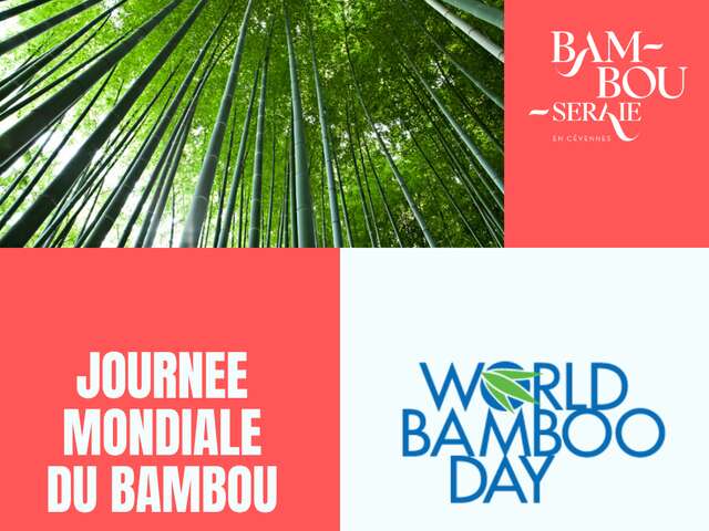 JOURNÉE MONDIALE DU BAMBOU