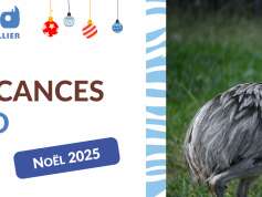 MES VACANCES AU ZOO - NOËL