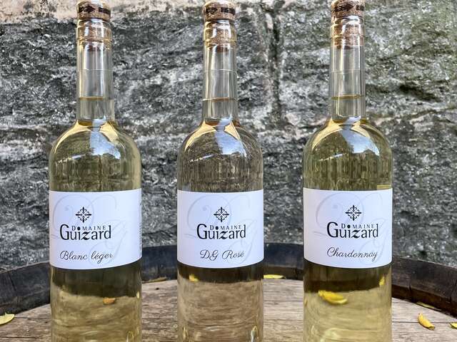 DOMAINE GUIZARD