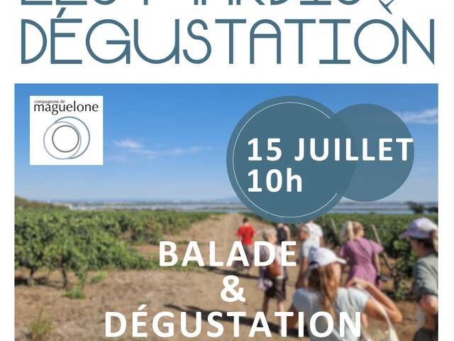 BALADE OENOTOURISTIQUE ET DÉGUSTATION AU COMPTOIR DES COMPAGNONS