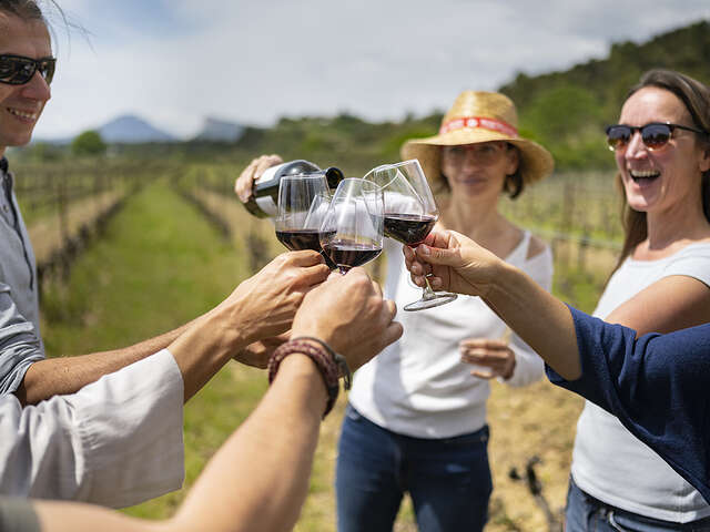 MONTPELLIER WINE TOURS