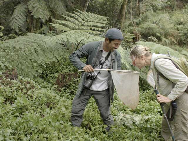 CINEMA - PROJECTION "TAPULAO, UNE MONTAGNE À PROTÉGER"