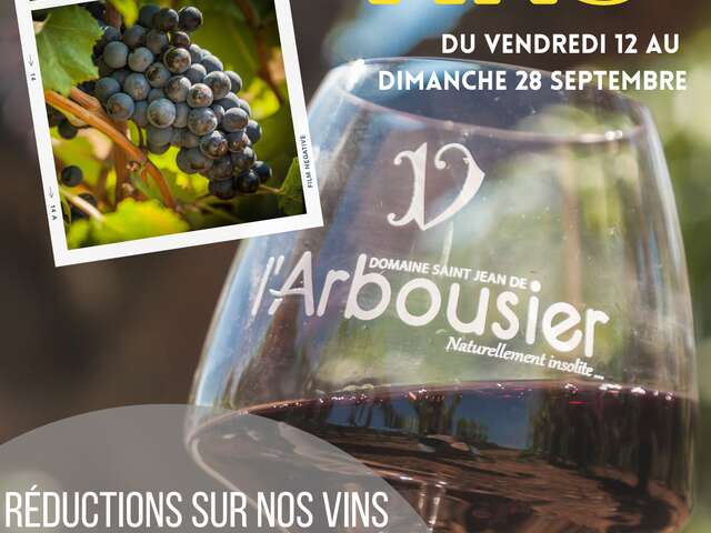 LA FOIRE AUX VINS DE L'ARBOUSIER
