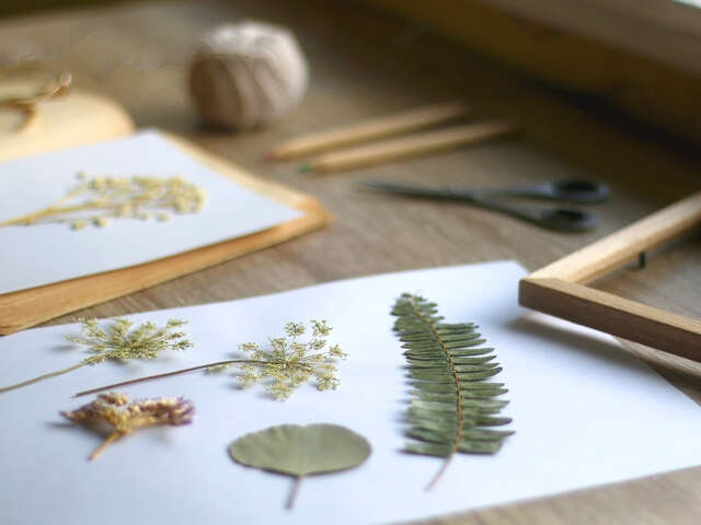 ATELIER BOTANISTE EN HERBE
