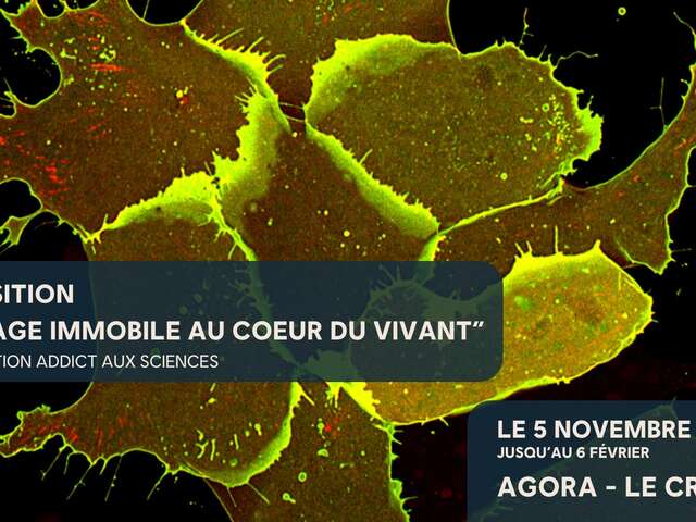 EXPOSITION "VOYAGE IMMOBILE AU CŒUR DU VIVANT"