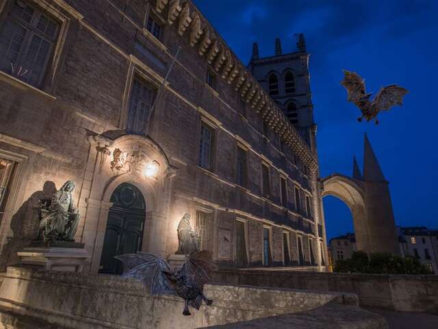 À LA RENCONTRE DES CHAUVES-SOURIS URBAINES