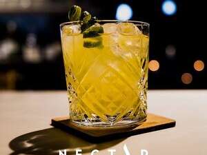 NECTAR COCKTAIL CLUB BELAROIA