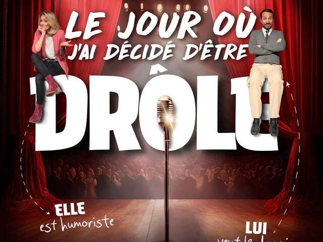 LE JOUR OÙ J'AI DÉCIDÉ D'ÊTRE DRÔLE !