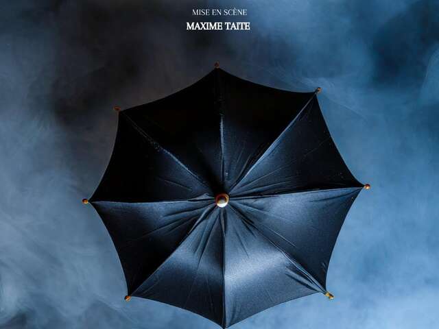 LES CAPRICES DE MARIANNE