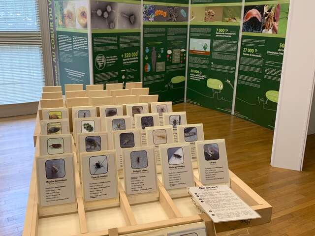 VISITES COMMENTÉES D'EXPOSITIONS POUR ENFANT : LES MERCREDI DE LA BIODIVERSITÉ