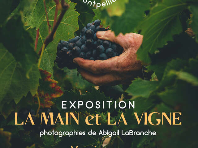 EXPOSITION LA MAIN ET LA VIGNE