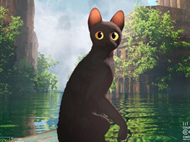 La pause ciné - Les projections de la médiathèque