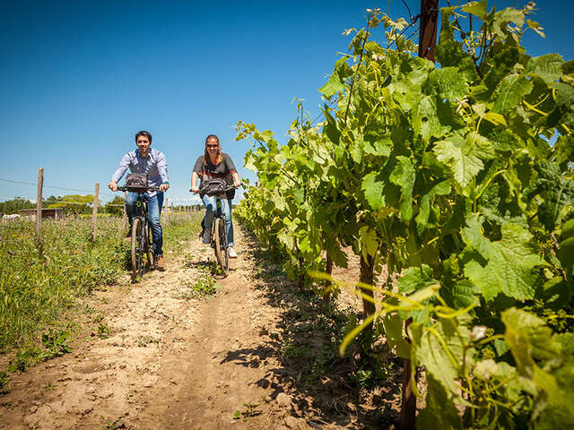 RÊVE DE VÉLO Tours