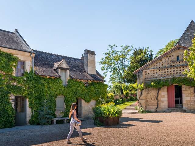 Sur les traces de Rabelais