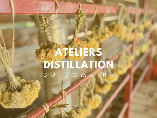 ATELIER DISTILLATION AU DOMAINE VITALBA