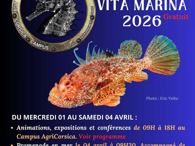Festival Vita Marina 2026