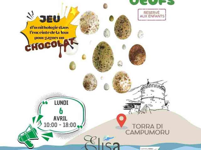 La chasse aux oeufs à la Tour de Campomoro