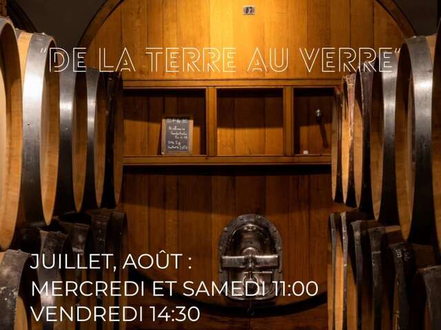Balade vigneronne au Domaine Saparale