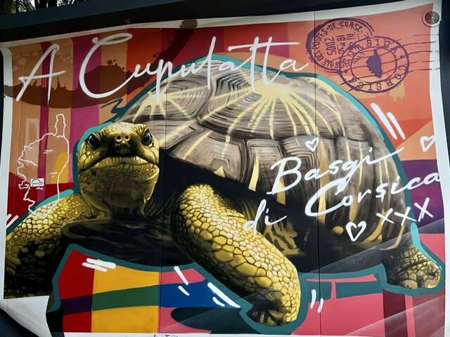 A CUPULATTA