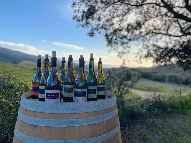 Visite oenologique au Domaine Sant'Armettu