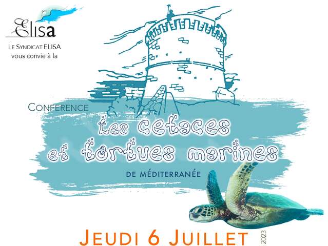 Conférence les cétacés et tortues Marines de Mediterranée
