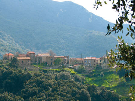 GRANACCIA - GRANACE