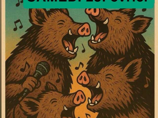 Soirée Karaoké au Bar des Chasseurs