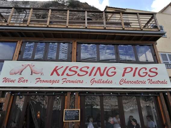 KISSING PIGS