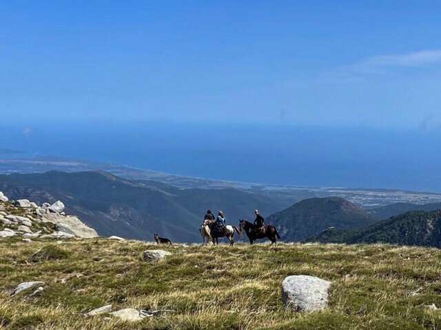 I CHJASSI DI L'ALTAGNA