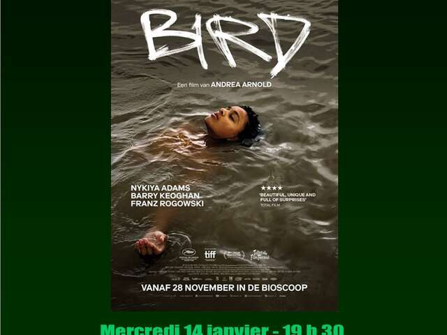 Ciné-Club au Lycée Agricole de Sartène - Bird à l'affiche