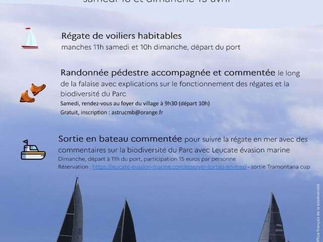 Animations du YACHT CLUB PORT LEUCATE