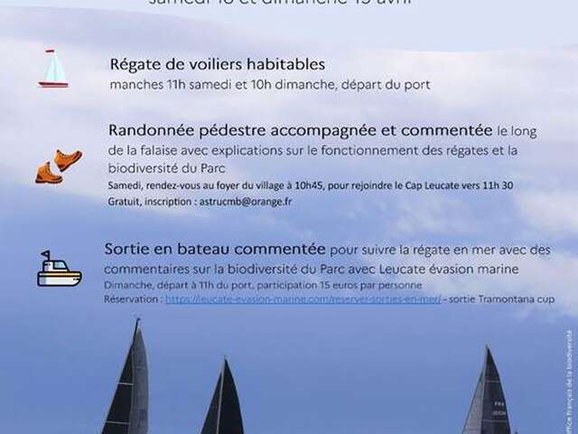 Animations du YACHT CLUB PORT LEUCATE